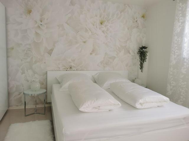Ferienwohnung Edelweiss 러스트 외부 사진